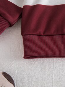 SHEIN Young Boy Color Block Sleeve Half Zip Sweatshirt Jogger Set, 2Pcs Stand Collar Fleece Tracksuit, Toddler Casual Daily Outfit,Fall,Autumn&Winter,School - Burgundy - View 7