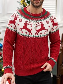 Manfinity Homme Men's Animal Pattern Crew Neck Long Sleeve Knit Sweater Cute Christmas Pullover Sweater ,Unisex , Fall/Winter - Multicolor - View 4