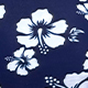 Blue and White