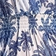 Blue and White