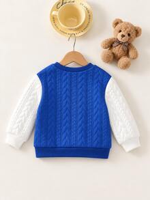 SHEIN Baby Boy Cartoon Bear Graphic Colorblock Plush Crew Neck Pullover Long Sleeve Sweatshirt, Versatile Casual, Suitable For Autumn/Winter - Blue - View 5