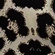 Multicolor