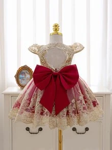 SHEIN Baby Girl Embroidered Tulle Heavy Work Party Dress Princess Gown - Burgundy - View 1