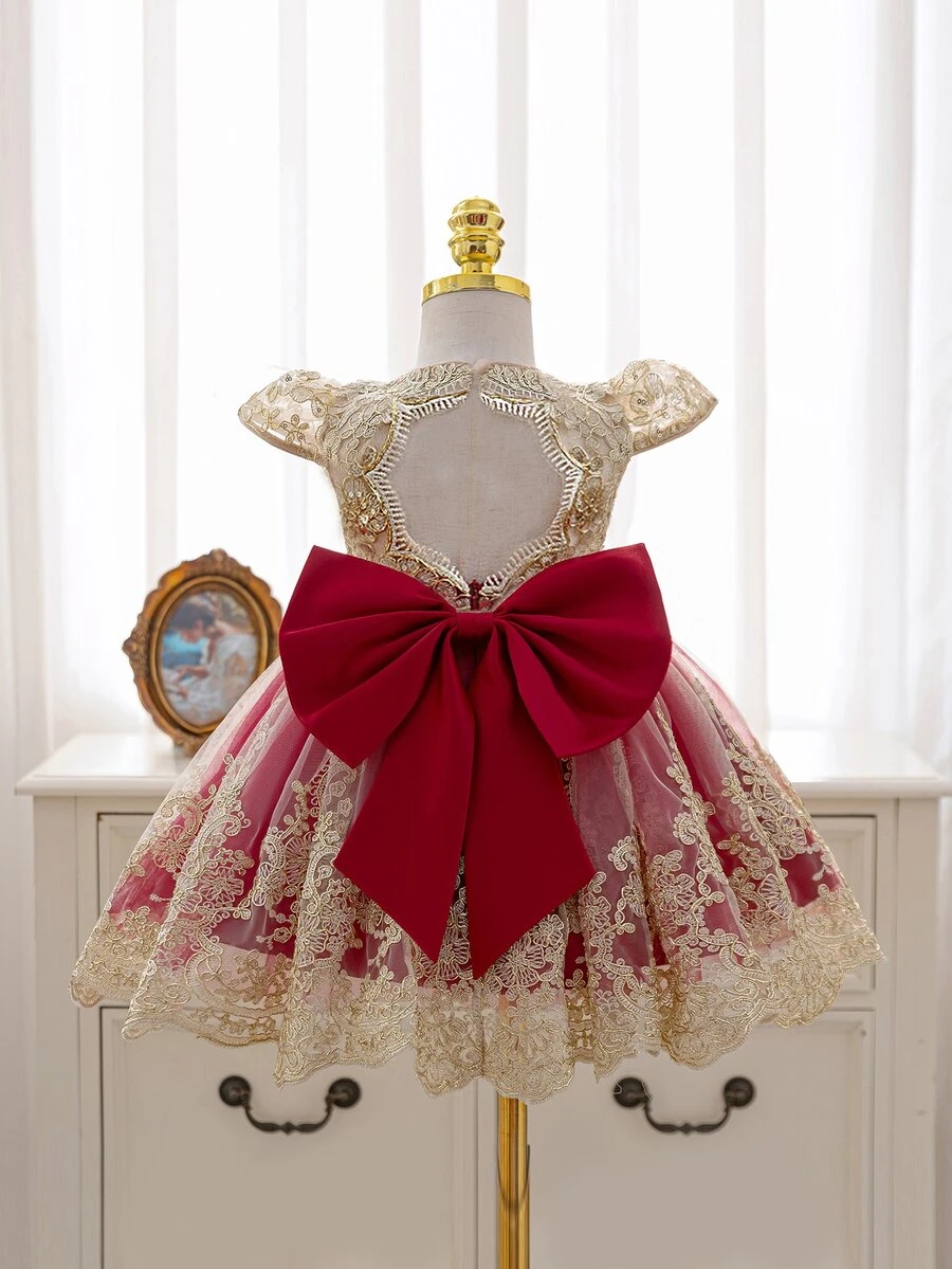 SHEIN Baby Girl Embroidered Tulle Heavy Work Party Dress Princess Gown - Burgundy - View 1