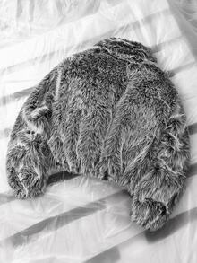 NEON BLANC Men's Solid Color Fashion Versatile Winter Faux Fur Coat - Grey - View 4