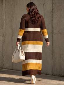 Linhara CURVE Plus Size Women's Autumn/Winter Maillard High Neck Color Block Ribbed Ribbed Knit Dress, Long Sleeve Long Length Waist-Cinching Sweater Dress, Suitable For Daily Commute, Date, Party And Other Occasions - Brown - View 2