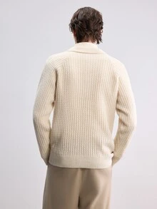 Claim Dot Men's Solid Color Long Sleeve Button-Up Collar Sweater , Suitable For Daily Wear, Leisure, Vacation, Preppy Casual Autumn Top - Beige - View 3