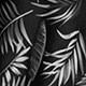 Black and White