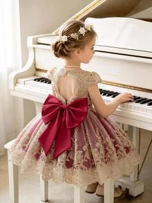SHEIN Baby Girl Embroidered Tulle Heavy Work Party Flower Girl Birthday Dress Princess Gown Dark Red Fall Elegant - Burgundy - View 1