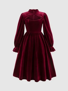 SHEIN 青少年女孩天鵝絨簡約保暖內裡加厚秋冬節日聖誕派對洋裝 - 酒紅色 - 查看 3