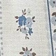 彩色