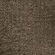 Chocolate Brown