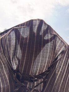 Comfortcana 大尺碼條紋休閒日常長袖襯衫 秋季 - 棕色 - 查看 9