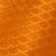 Burnt Orange