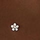 Coffee Brown