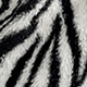 Black and White