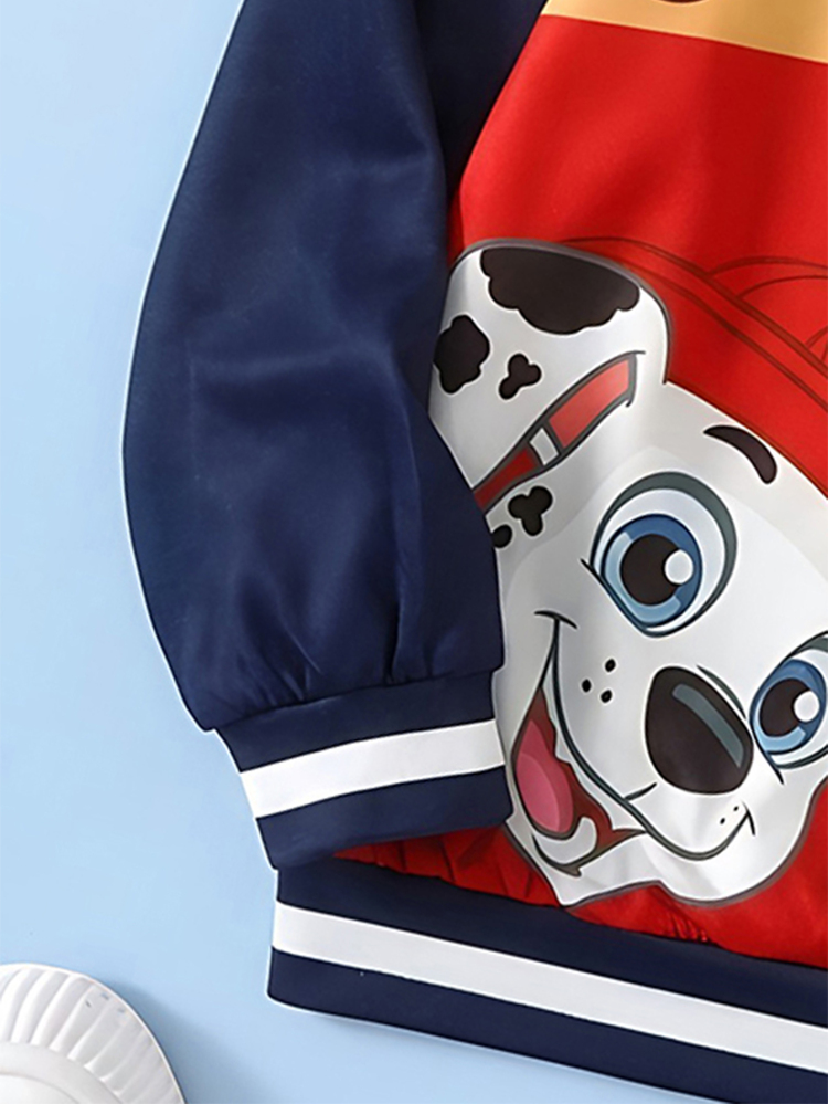SHEIN | PAW Patrol 小男孩拼色拼接卡通印花運動衫 - 白色 - 查看 3