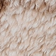 Multicolor