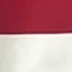 متعدد الألوان