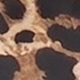 Nhiều màu