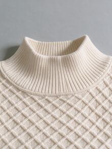 Omancia Elegant High Neck Long Sleeve Design Women's Sweater 2 Pieces Set - Apricot - View 6