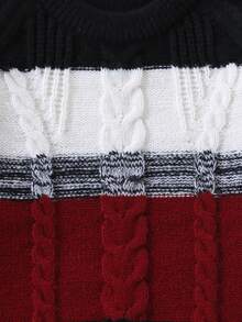 SHEIN Tween Boy Colorblock Crew Neck Raglan Long Sleeve Casual Sweater Autumn Winter - Burgundy - View 4