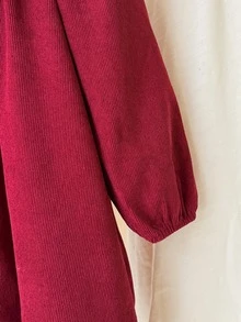 Young Girl Woven Colorblock Peter Pan Collar Ruffle Embroidered Casual Dress - Burgundy - View 8