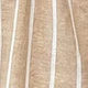 Nhiều màu