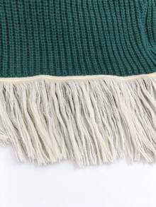 Ceyna Plus Size Women's New Tassel Patchwork Dark Green Colorblock Knit Dress, Casual Bohemian Everyday Versatile Fall Christmas Thanksgiving Evening Formal - Multicolor - View 9