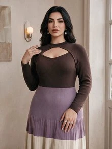 Modelyn Plus Size Women's Colorblock Long Sleeve Hollow Out Round Neck Knit Dress, Autumn/Winter - Multicolor - View 5