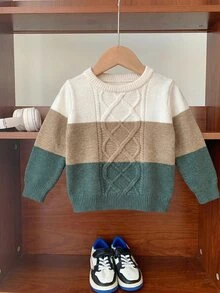 SHEIN 男嬰針織毛衣上衣，保暖內裡加厚配色圓領長袖內搭衫，舒適百搭時尚，可愛經典簡約基本款，適合室內、戶外滑雪、日常、運動、玩耍、派對、拍照，適用秋季與冬季 - 彩色 - 查看 7