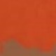 Burnt Orange