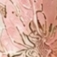 Coral Pink