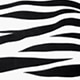 Black and White