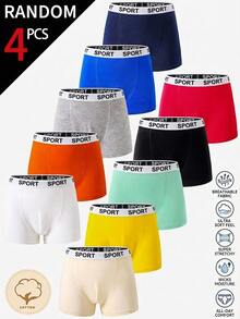 SHEIN Young Boy Surprise Blind Kids Box Minimalist Comfortable Casual Elastic Waist Skin-Friendly Boxer Briefs, Randomly Shipped 4pcs Pieces - Multicolor - View 1