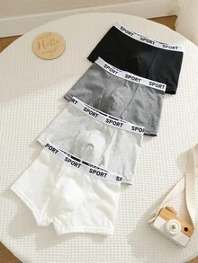 SHEIN Young Boy Surprise Blind Kids Box Minimalist Comfortable Casual Elastic Waist Skin-Friendly Boxer Briefs, Randomly Shipped 4pcs Pieces - Multicolor - View 4