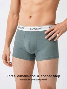 LUVLETTE 3-Pack Cotton Mid Rise Printed Letter Webbing Men's Boxer Briefs - Multicolor - View 10