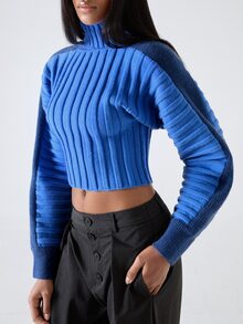LYSMO Women's Colorblock Casual Streetwear Versatile Daily Wear Long Sleeve Sweater Going Out - Blue - View 7