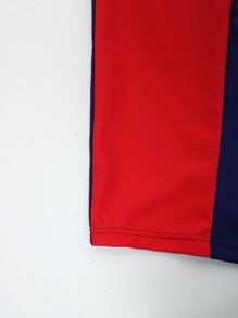 Manfinity VDAYZ Bóxer de baño slim fit de cintura con cordón y contraste de color, adecuado para el verano, talla grande para hombre