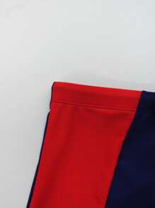 Manfinity VDAYZ Bóxer de baño slim fit de cintura con cordón y contraste de color, adecuado para el verano, talla grande para hombre