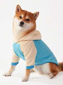 PETSIN Spring/Summer Simple Casual Ivory White & Mint Blue Patchwork Raglan Sleeve Hoodie Sweatshirt For Dogs, European And American Popular, Breathable Super Soft Pet Clothing With Printed Design - Multicolor - View 7