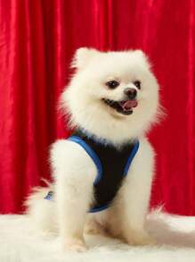 PETSIN Spring/Summer Casual Fashionable 4th Of July/Fourth Of July Theme Bone, Star, Stripe, Letter Print Pet Cat Dog Universal Silk Cooling Breathable Soft Elastic Popular European & American Style Black Tank Top Pet Vest