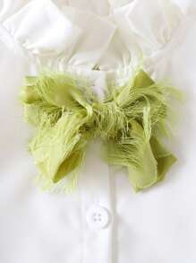 SHEIN 2 Pieces Set: Girls Embroidered Ruffle Blouse + Tulle Frill Hem Skirt - Green - View 4