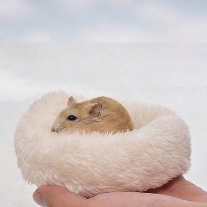 1 chiếc giường làm tổ mùa đông mềm mại, ấm áp và thoải mái cho thú cưng nhỏ Hamster