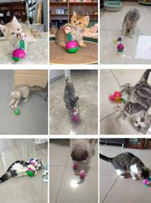 彩色笼鼠缓解无聊趣味玩具套装 - 让您的猫咪通过互动滚球和老鼠玩具保持娱乐 颜色随机 - 彩色 - 查看 9