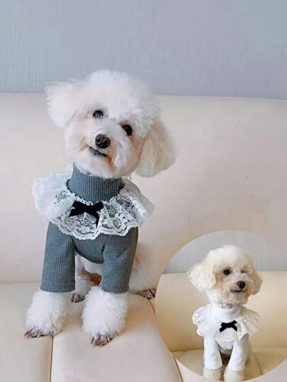 1pc Lace High Collar Pet Base Layer Top, Warm And Comfortable For Autumn And Winter, Soft And Stretchy For Small Dogs And Cats Like French Bulldog, Poodle, Yorkshire Terrier, Chihuahua, Schnauzer, Maltese, Ragdoll, Daily Outfit And Outdoor Wear