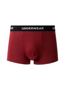 5 Pack Herren Boxer Slips mit Buchstaben Streifen-Muster und elastischem Bund, Lässig - Verschiedenfarbig - Übersicht 7