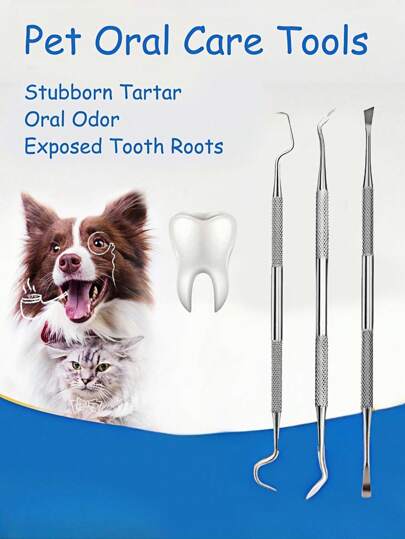 3Pcs Stainless Steel Double-Headed Pet Teeth Scaler & Scraper Set - Effective Tarter Removal Tool For Dogs & Cats​