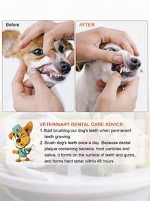 3Pcs Stainless Steel Double-Headed Pet Teeth Scaler & Scraper Set - Effective Tarter Removal Tool For Dogs & Cats​