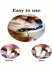 3Pcs Stainless Steel Double-Headed Pet Teeth Scaler & Scraper Set - Effective Tarter Removal Tool For Dogs & Cats​